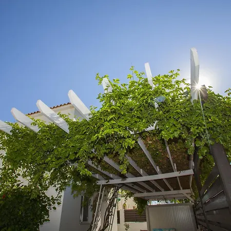 Passion * 프로타라스